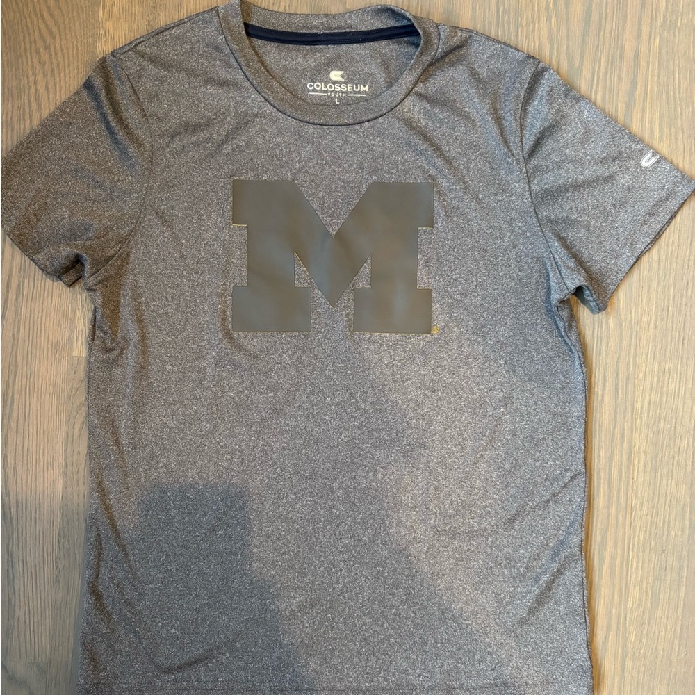 Michigan Gray Tshirt
